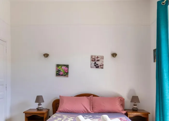 Pépin le bref Cour Privée Wifi proche Arènes Hébergement de vacances Nîmes